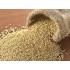 SEMINTE QUINOA 1KG SEMINTE QUINOA 1KG